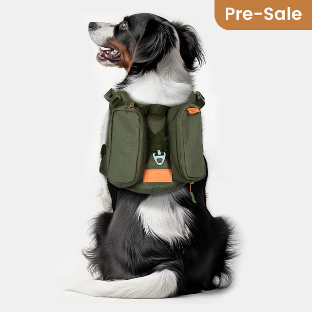 Black and white dog sits facing left in an olive green dog saddle bag with twin side pockets against a light gray studio backdrop.