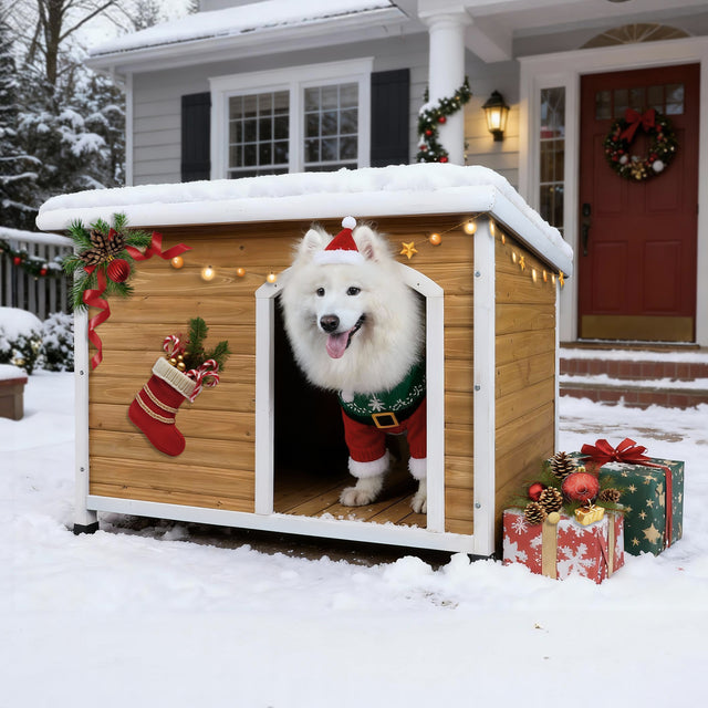 In a snowy front yard, a Samoyed in holiday outfit stands in a weatherproof dog house decorated with lights and gifts.