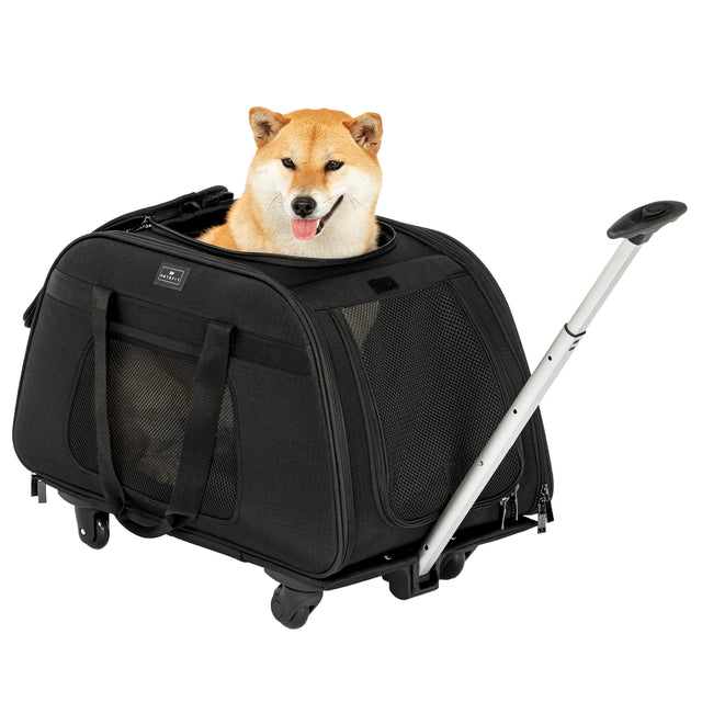 PETSFIT Airline Pet Carrier With Wheels