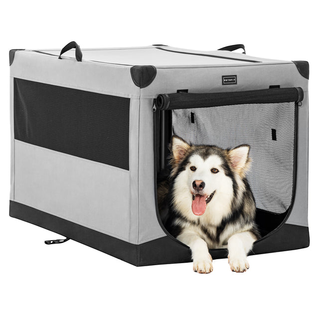 Fluffy malamute relaxes in a spacious gray soft dog crate, leaning at the open front door with wide mesh ventilation.