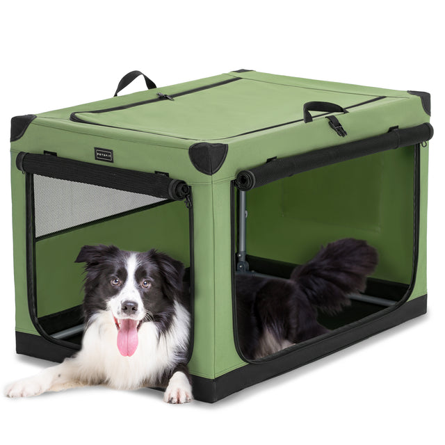 Green soft dog crate with mesh side openings and rolled flaps, featuring a relaxed border collie lying partly outside the front door.