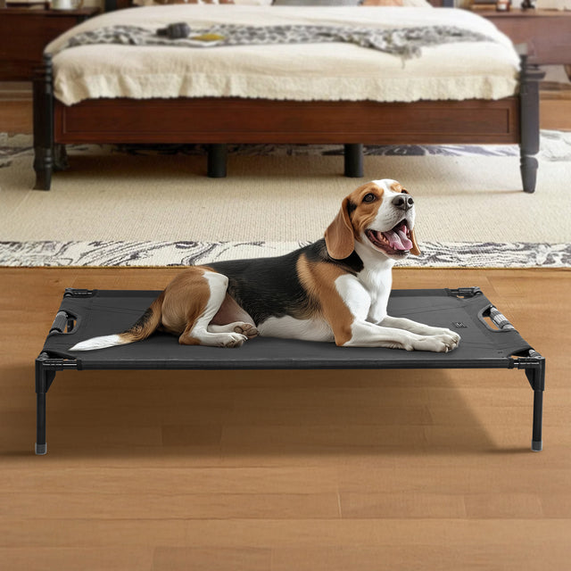 Petsfit simple and basic low-profile dog bed in gray, providing a comfortable resting spot for dogs