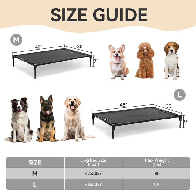 Petsfit simple and basic low-profile dog bed in gray, providing a comfortable resting spot for dogs