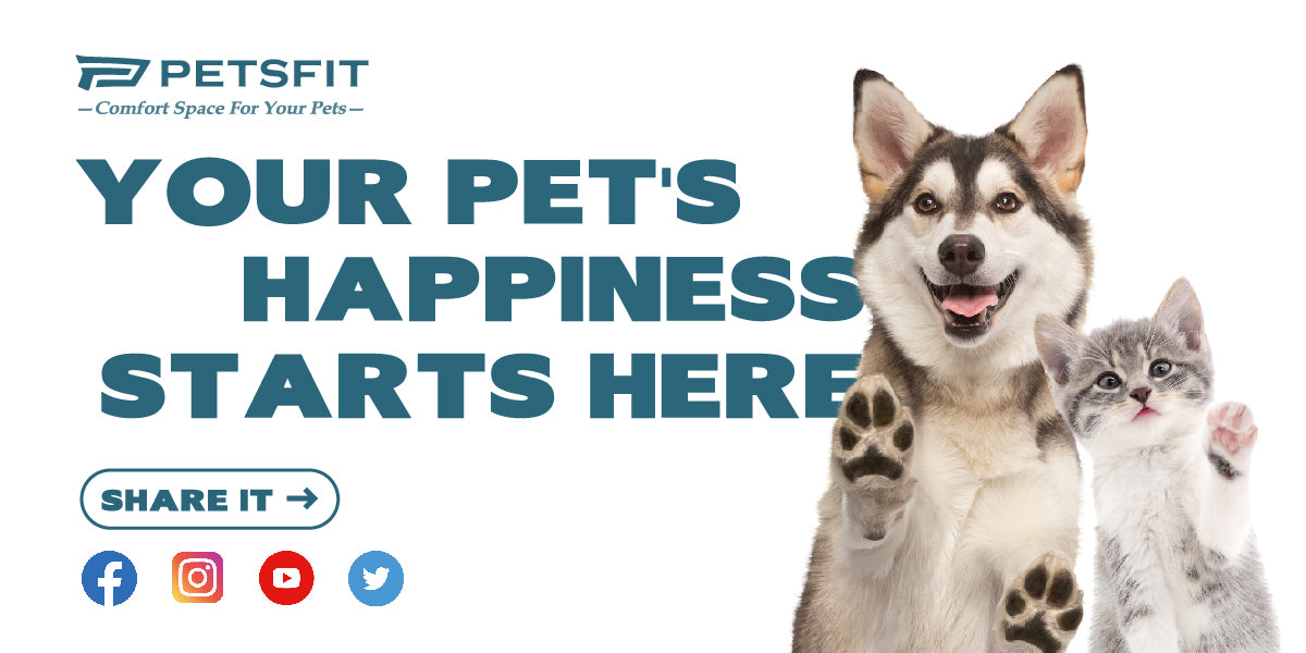 PETSFIT Pet Supplies: High-Quality Travel & Home Products for Pets