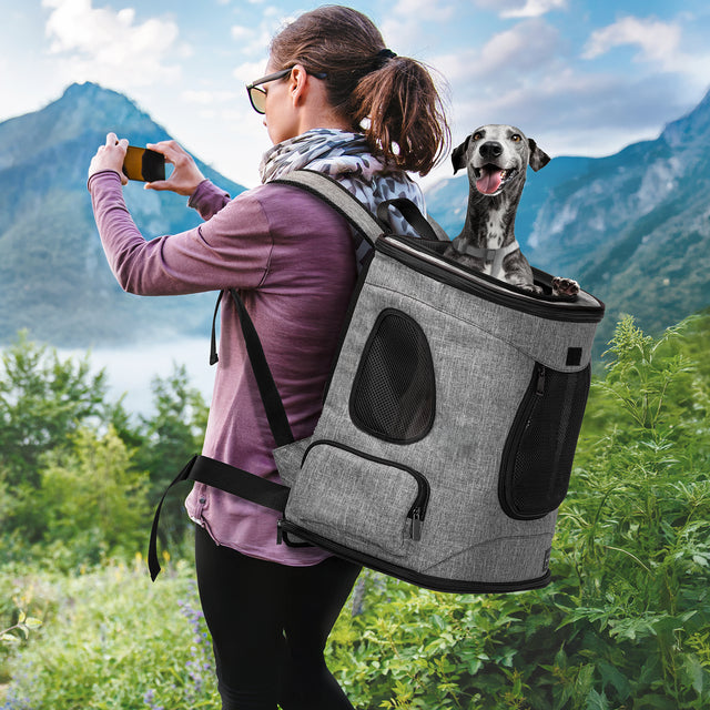 Woman takes a mountain photo while carrying a gray dog backpack, with a happy dog peeking from the top.