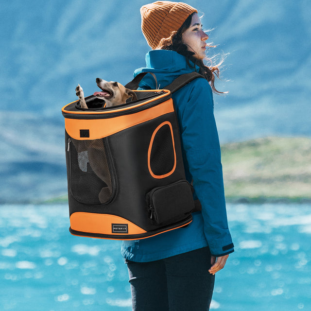 Woman by a lakeside viewpoint carries a black and orange dog backpack with a small dog peeking out.