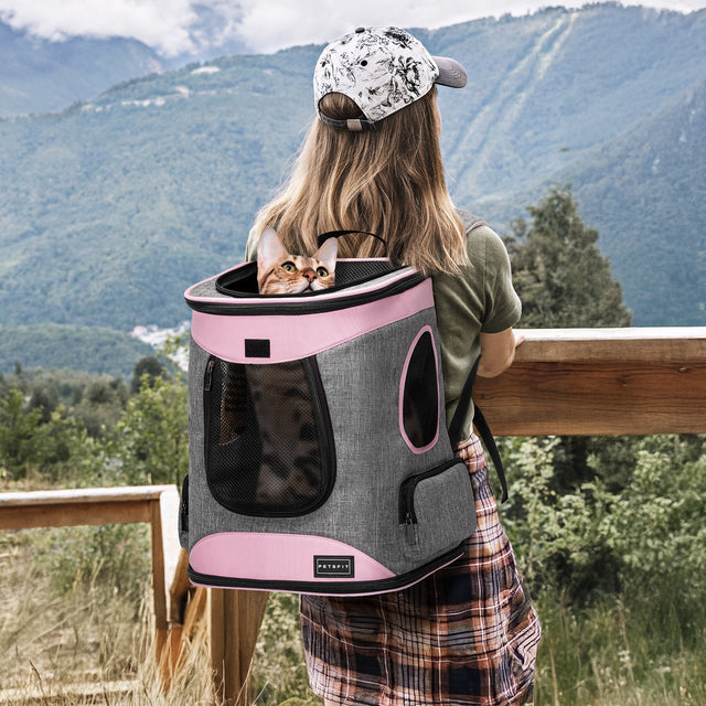 Woman at a mountain overlook wears a gray and pink cat backpack, with a tabby cat peering over the open top.