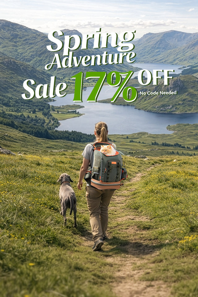 Mobile landing banner with woman hiking a grassy hill with cat backpack and dog beside her, promoting PETSFIT pet travel gear