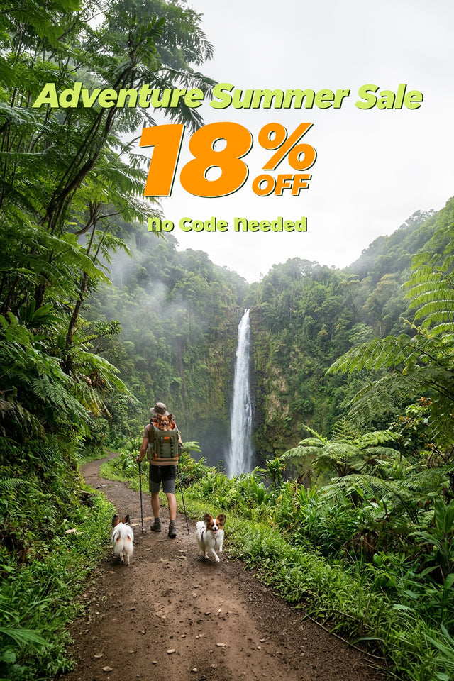 Adventure Summer Sale 18% OFF No Code Needed — hiker with two dogs walking toward jungle waterfall mobile banner