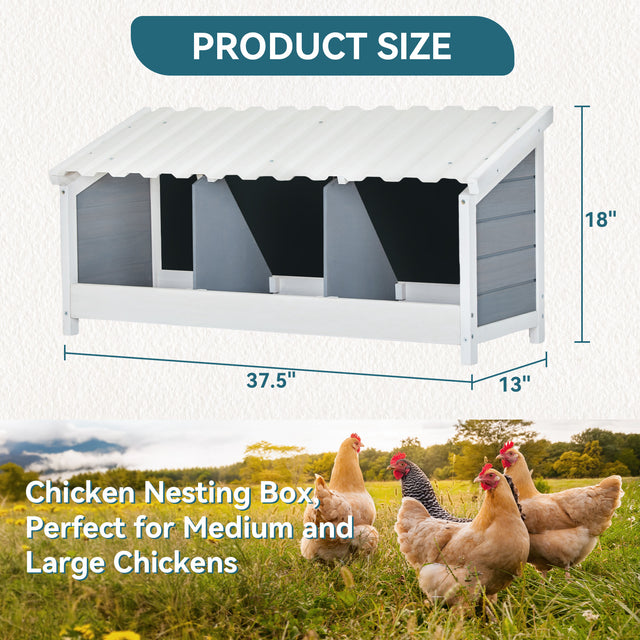 Triple hen nesting boxes for backyard chickens by PETSFIT