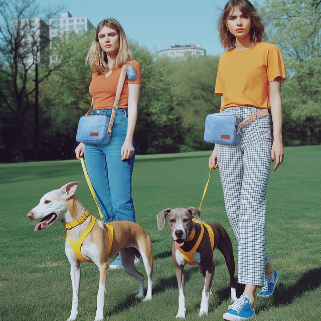 Two women walking dogs in city park both carrying PETSFIT denim dog walking crossbody bags, showing lifestyle use with two large dogs on yellow harnesses