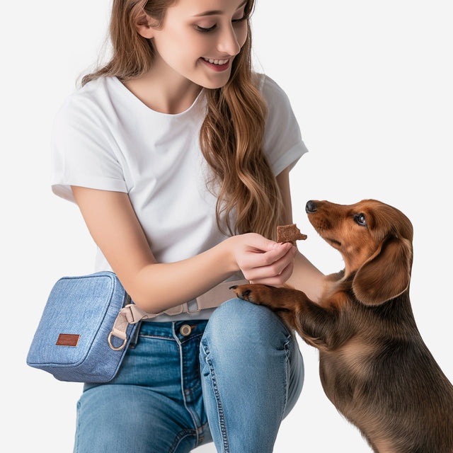 Woman wearing PETSFIT Vira Blazer denim crossbody dog bag on shoulder while walking dog outdoors, showing shoulder and crossbody carry style