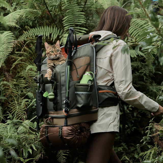 PETSFIT WildPath dog and cat hiking backpack with breathable mesh, storage pockets, and safety features – ideal for outdoor adventures