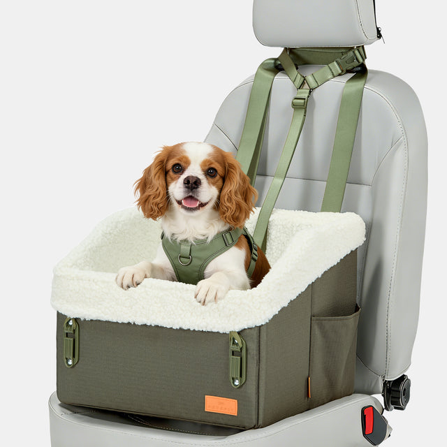 Cavalier King Charles Spaniel sitting upright in PETSFIT WILDPATH army green dog car booster seat with hidden storage on back seat of SUV