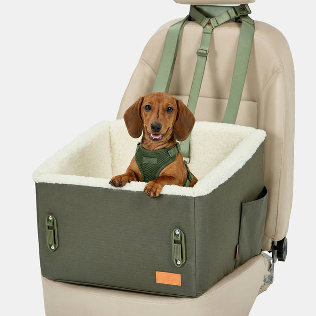 Dachshund sitting happily in PETSFIT WILDPATH army green elevated dog car booster seat with reversible cushion and safety straps