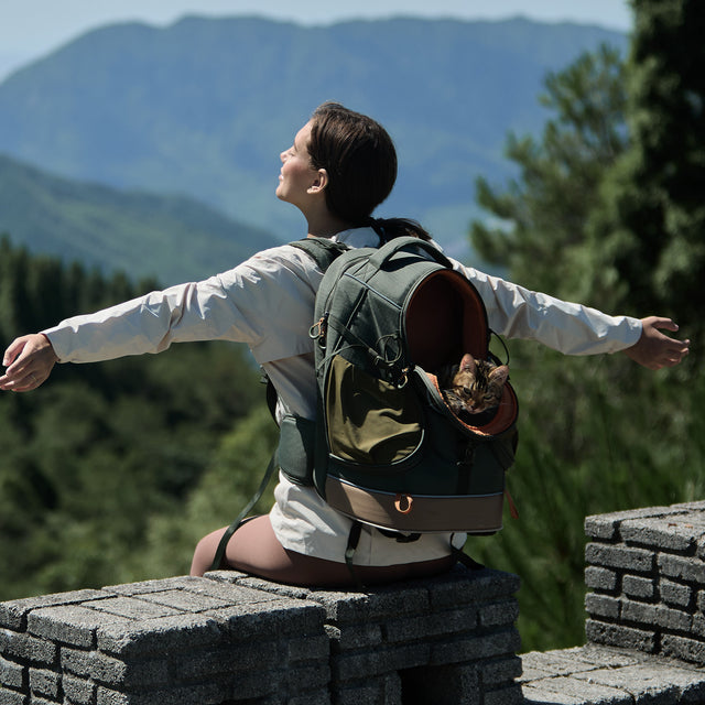 Cat backpack at a scenic viewpoint, with the woman seated and the cat peeking out from the side opening.