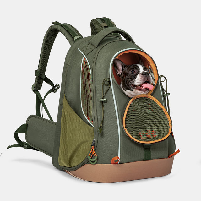 PETSFIT WildPath pet carrier backpack for small dogs and cats with waterproof TPU base, ideal for hiking and travel