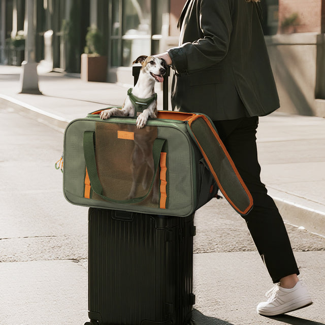 Front view of PETSFIT WildPath Pet Travel Carrier in military green with orange interior