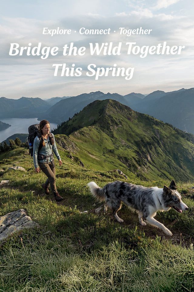 WILDPATH spring campaign vertical banner with hiker and border collie on a mountain trail, Bridge the Wild Together This Spring mobile version