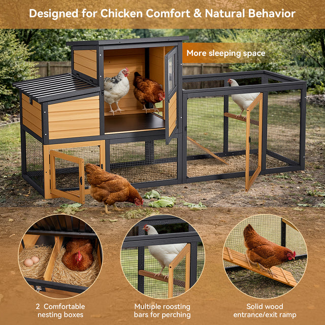 Spacious interior dimensions showing the coop comfortably fits 2 to 4 standard-sized chickens.