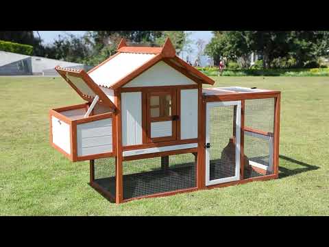 Petsfit Outdoor Wooden Chicken Coop Multi-Level Hen House The use of video in the scenario