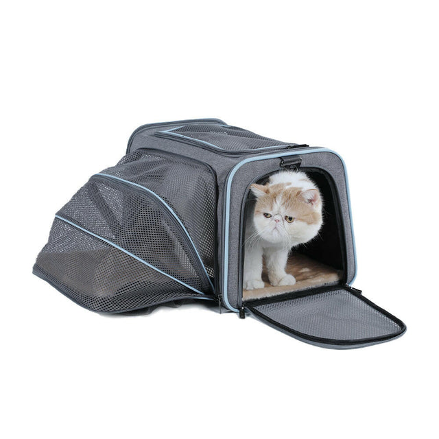 PETSFIT Expandable Pet Carrier for Cats and Dogs, offering extra space for a comfortable journey outdoors.