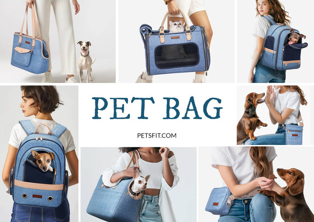 2024 Latest Denim Pet Carrier Collection