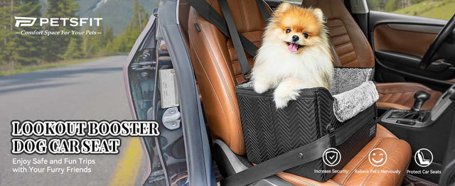 How-to-Install-Your-Dog-Car-Seat-A-Step-by-Step-Guide-for-Safe-Rides PETSFIT STORE