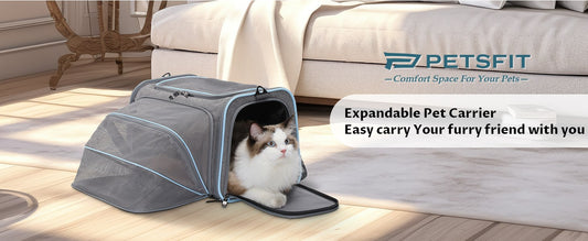 Pet Carrier Series for PETSFIT——Shopping Guide