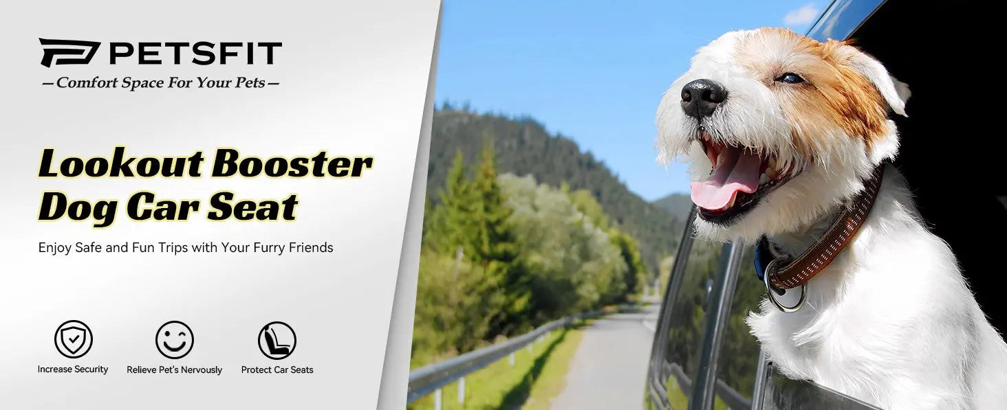 Petsfit's car travel series can help you solve problem