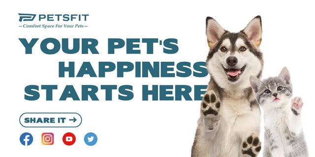 Petsfit-Moments PETSFIT STORE