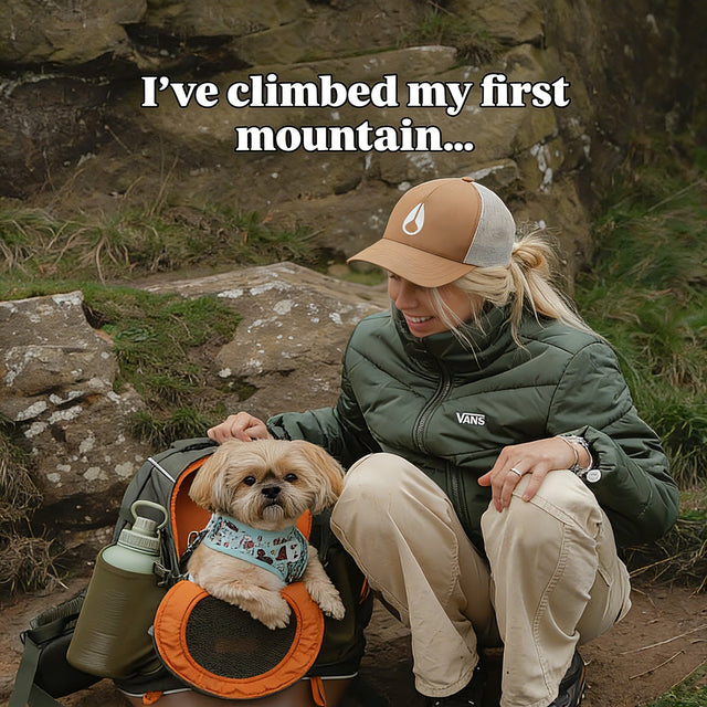 Best Pet Backpack for Hiking: How to Choose a Waterproof, Breathable Carrier for Small Pets