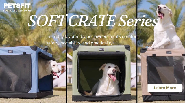 Comfort and Safety On the Go: A Detailed Review of the PETSFIT Soft Crate Series