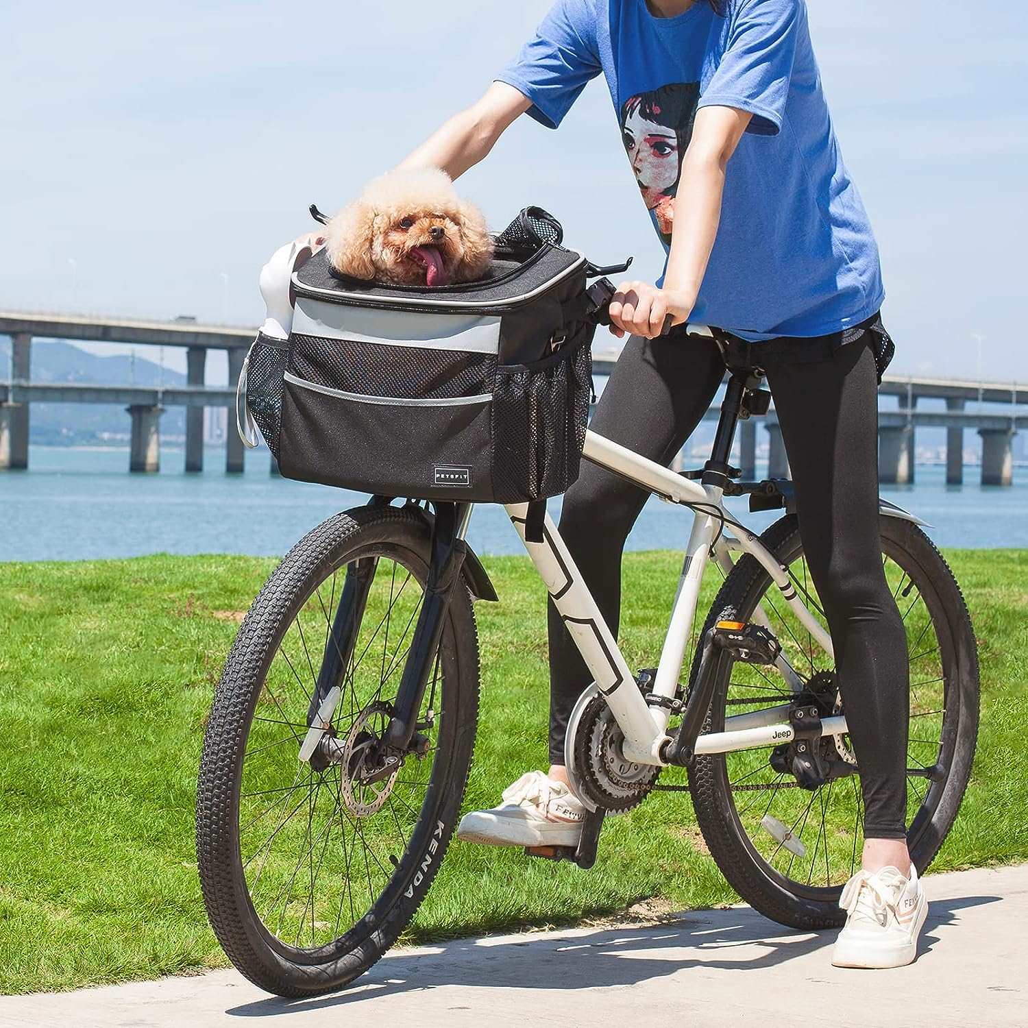 Petsfit-Dog-Bike-Basket-Dog-Car-Seat-with-Front-Pocket-01