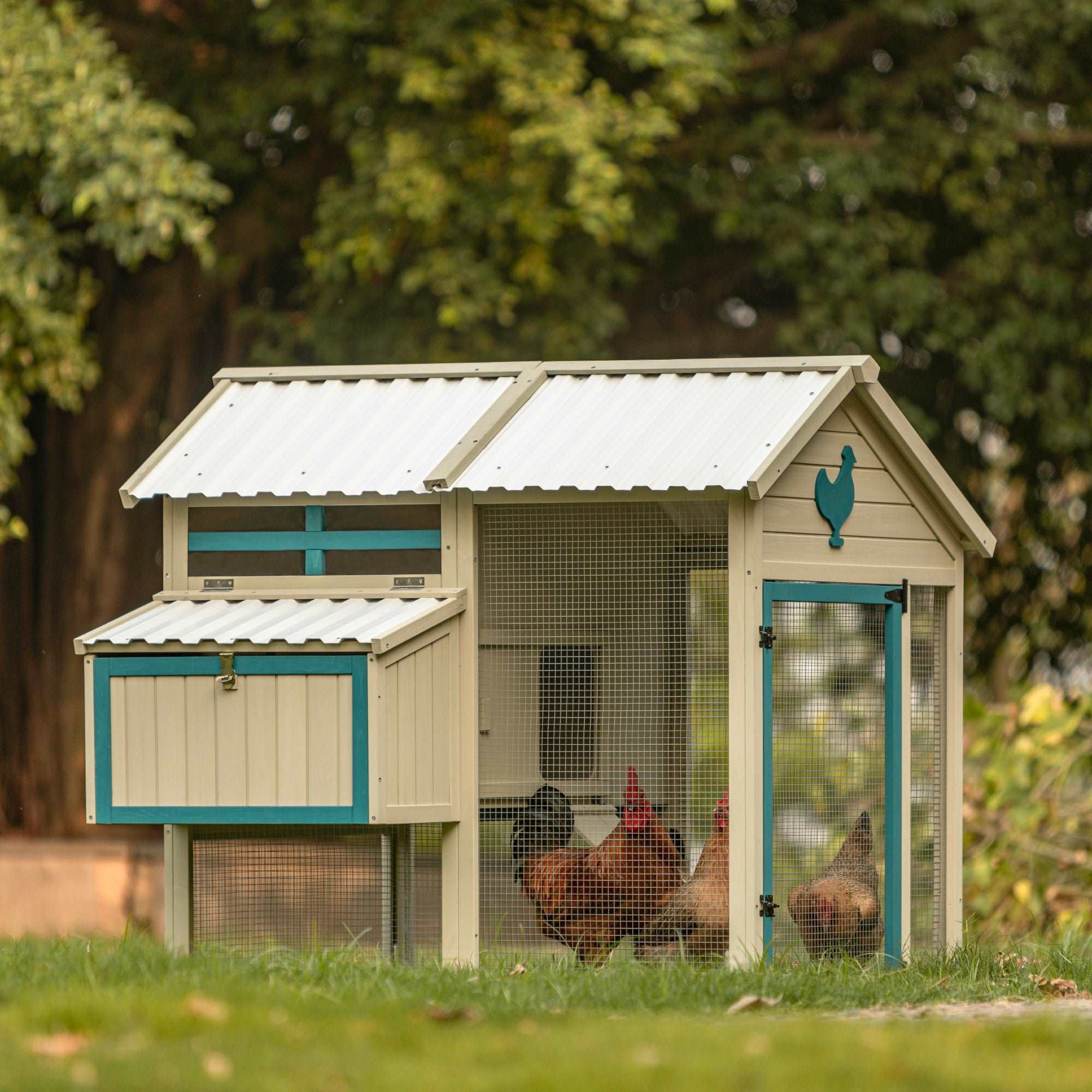 petsfit-waterproof-pvc-roof-chicken-coop-for-5-8-chickens-backyard-hen-house-with-easy-clean-pull-out-tray-integrated-nesting-boxes-for-outdoor-use-01