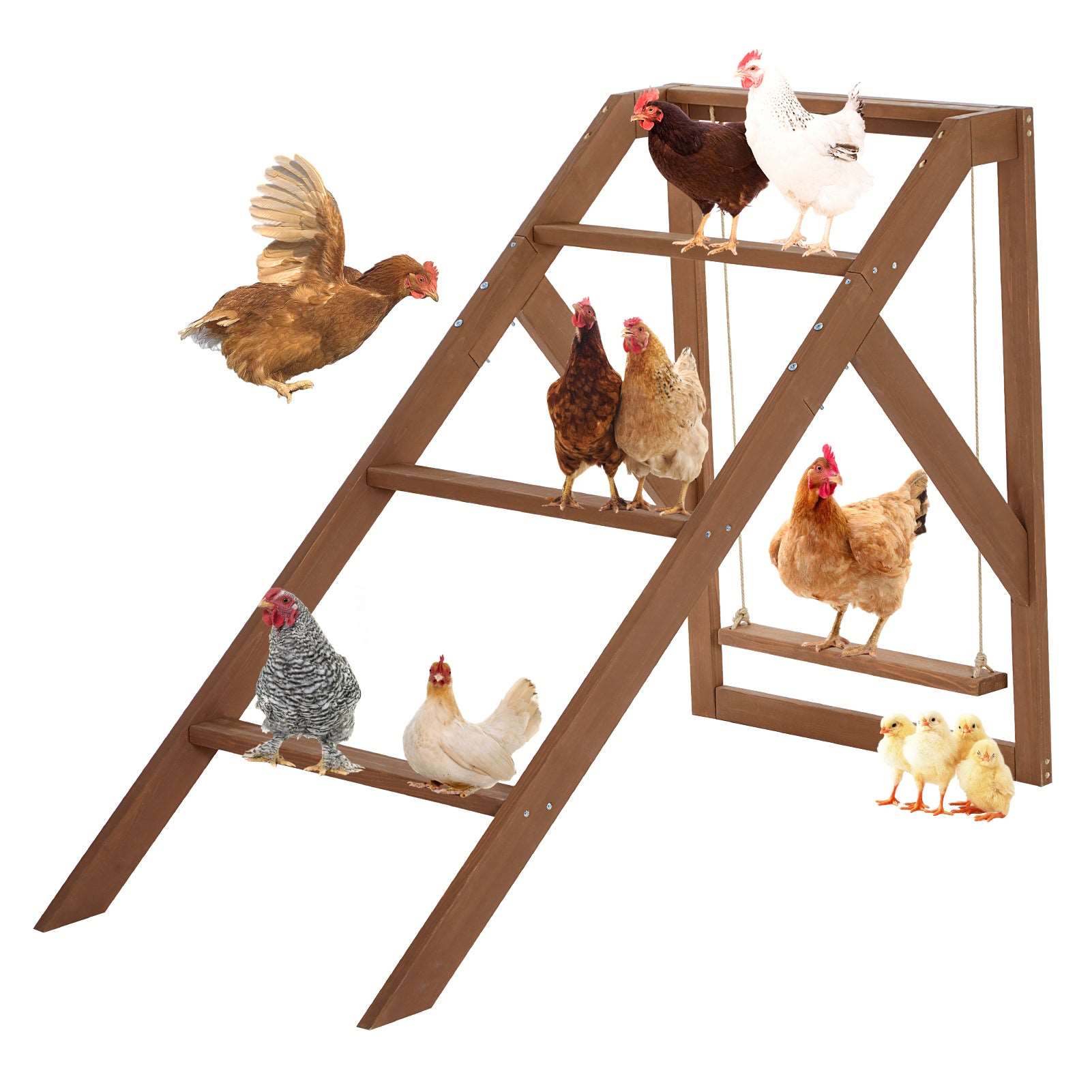 petsfit-chicken-swing-set-for-pets-healthy-happy-4-chicken-perches-with-swing-fit-for-8-10-chicks-chicken-toys-for-coop-accessories-01