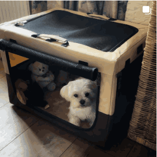 dog soft crate brown