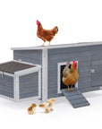 Petsfit-Upgraded-Chicken-Coop-02