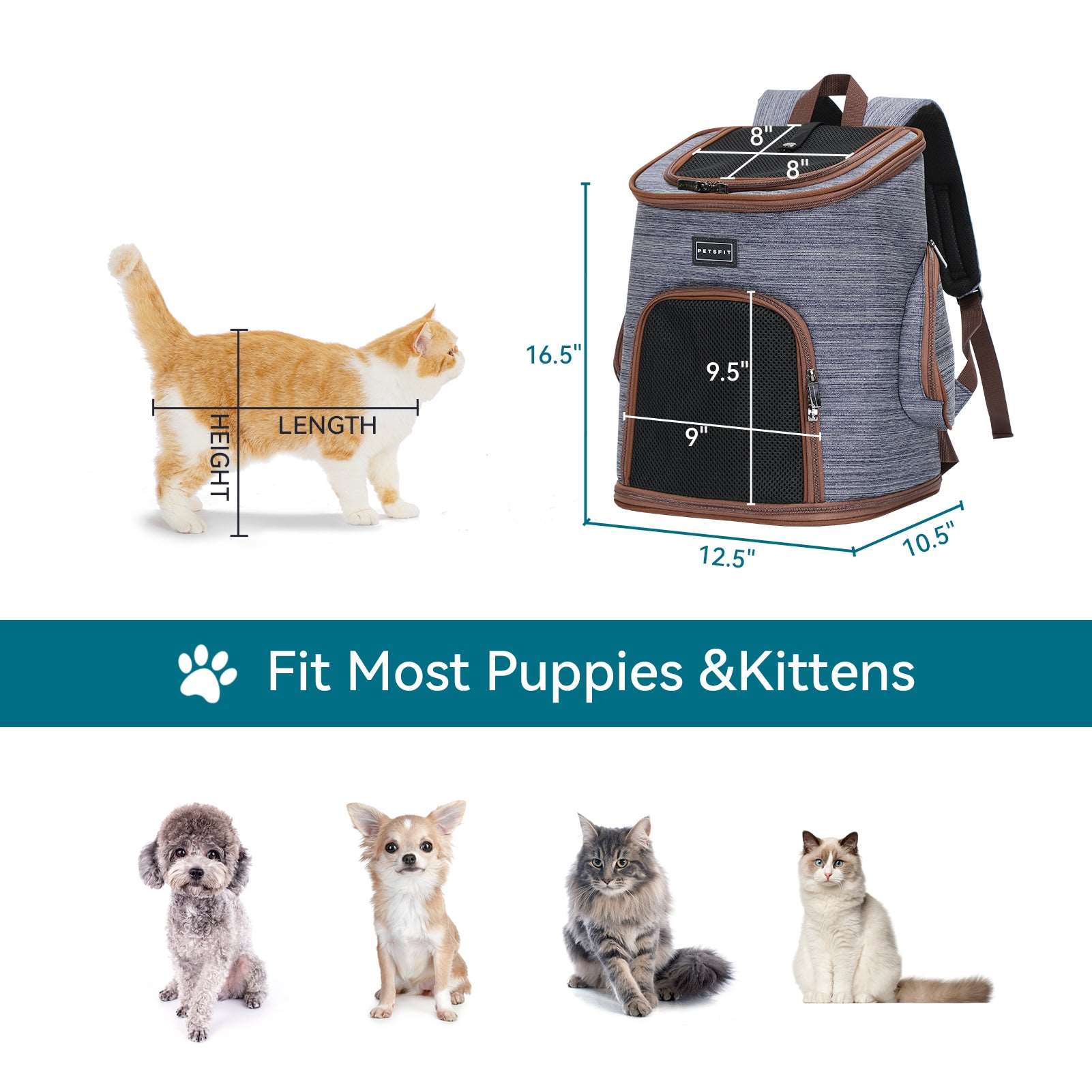 Petsfit-Dog-Backpack-Carrier-for-Small-Animal-Adjustable-Dog-Front-Carrier-02