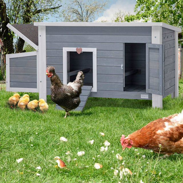 Petsfit-Upgraded-Chicken-Coop-03