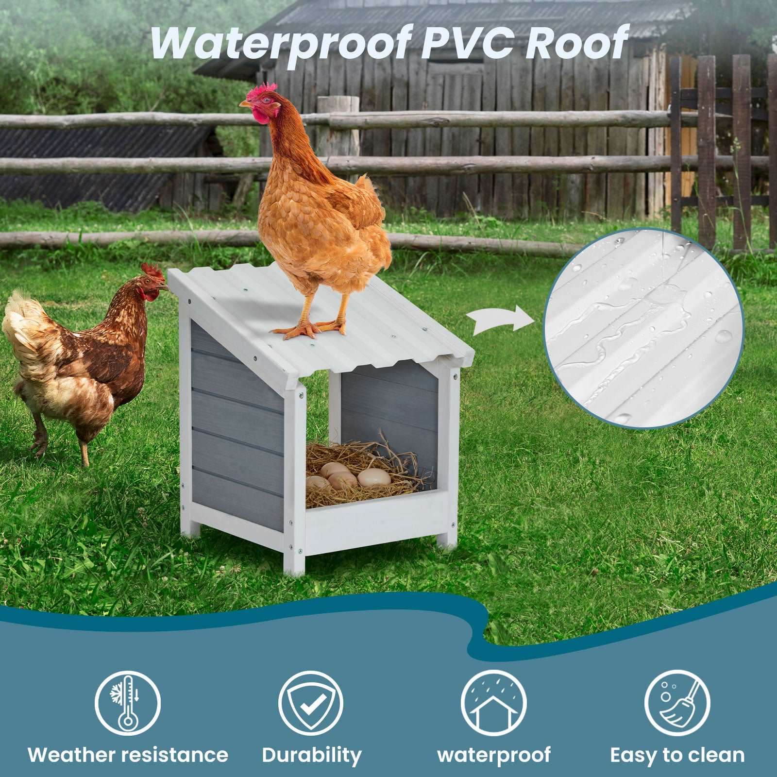 petsfit-nesting-boxes-for-chicken-coop-03