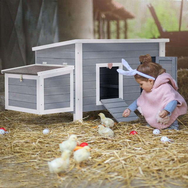 Petsfit-Upgraded-Chicken-Coop-09