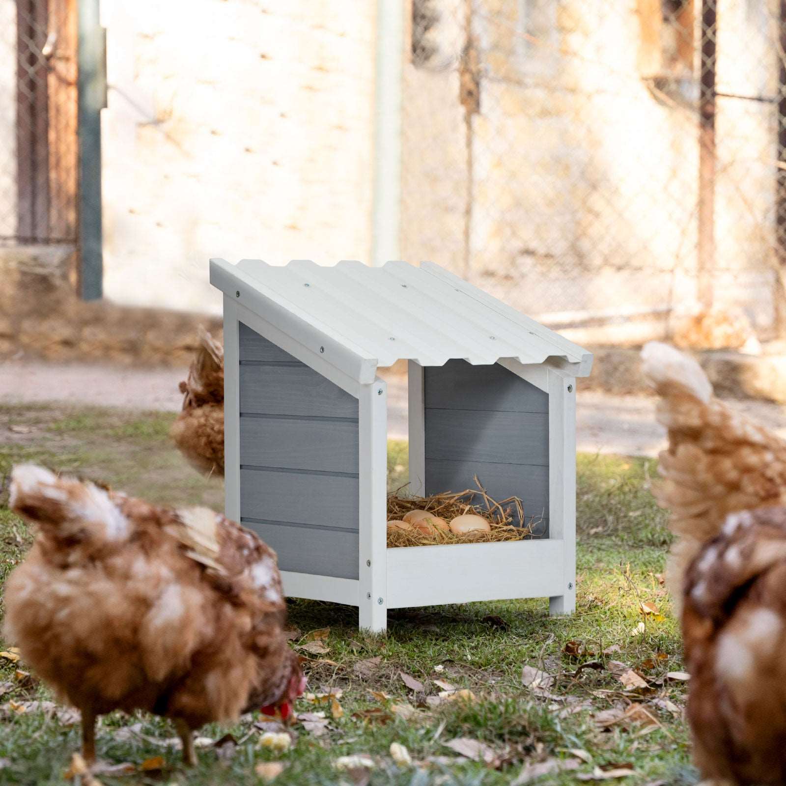 petsfit-nesting-boxes-for-chicken-coop-05