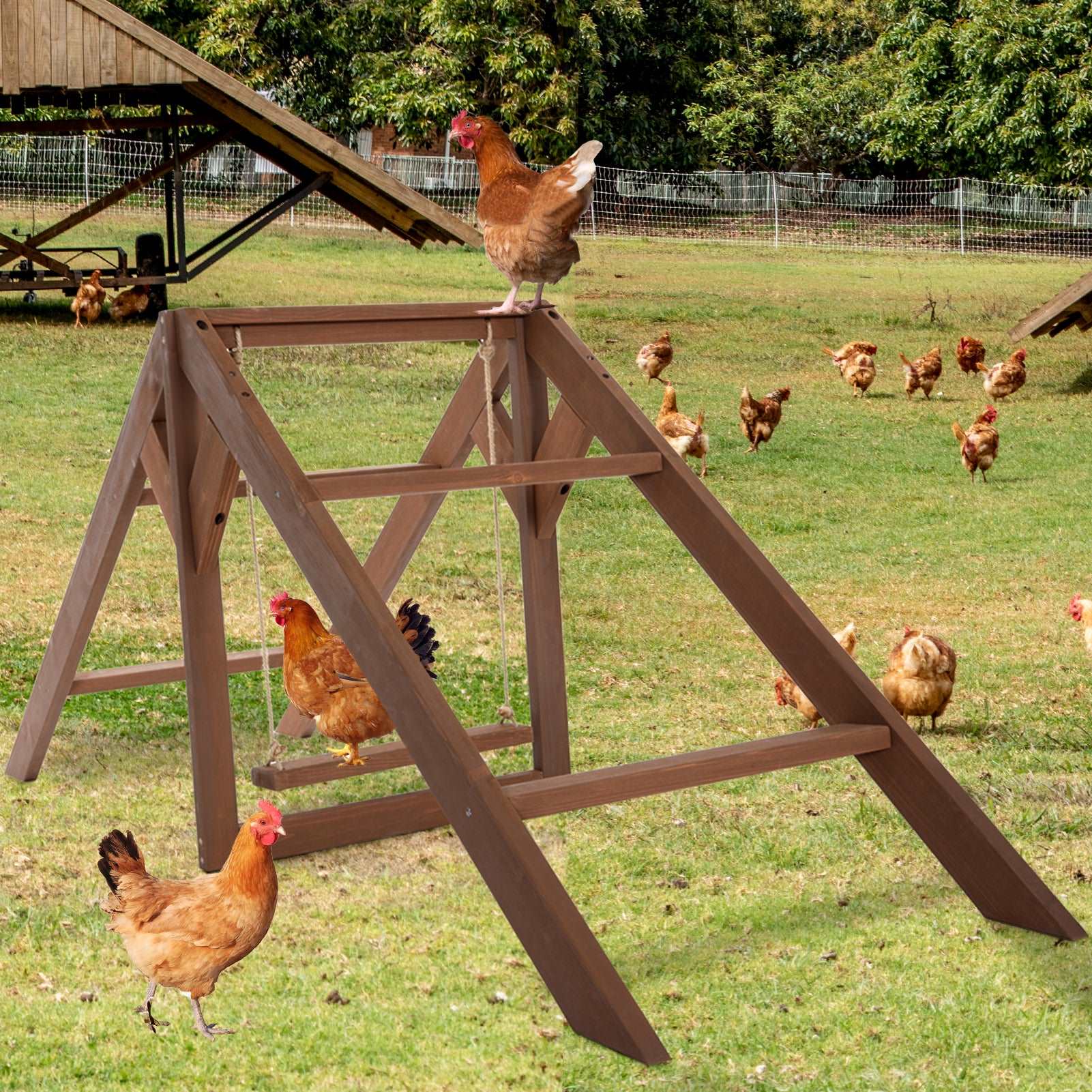 petsfit-chicken-toys-for-coop-accessories-5-chicken-perches-with-swing-are-perfect-for-8-10-chickens-wooden-chicken-ladder-for-pets-healthy-happy-06