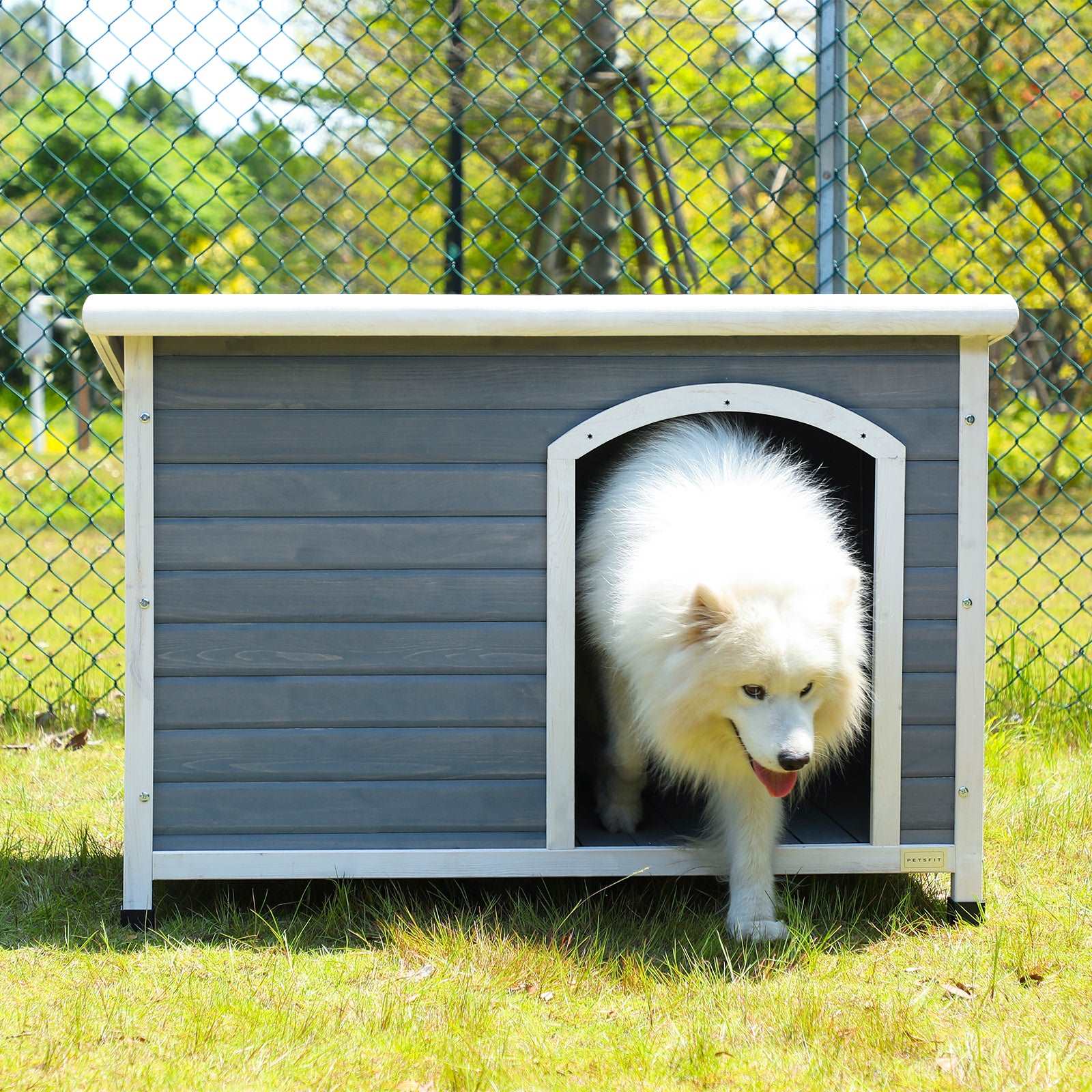 Outdoor-Wooden-Dog-House-01