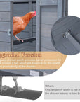 Petsfit-Upgraded-Chicken-Coop-06