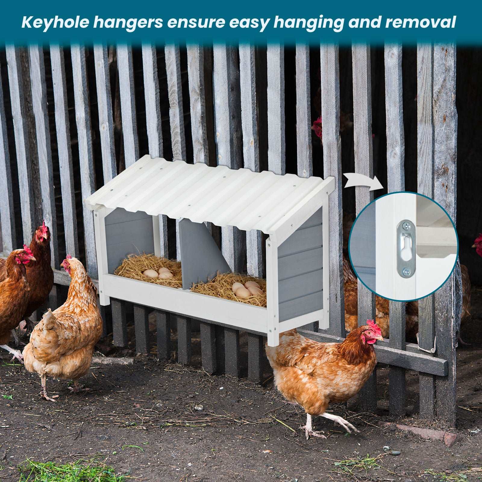 Chicken Nesting Boxes For Sale – PETSFIT
