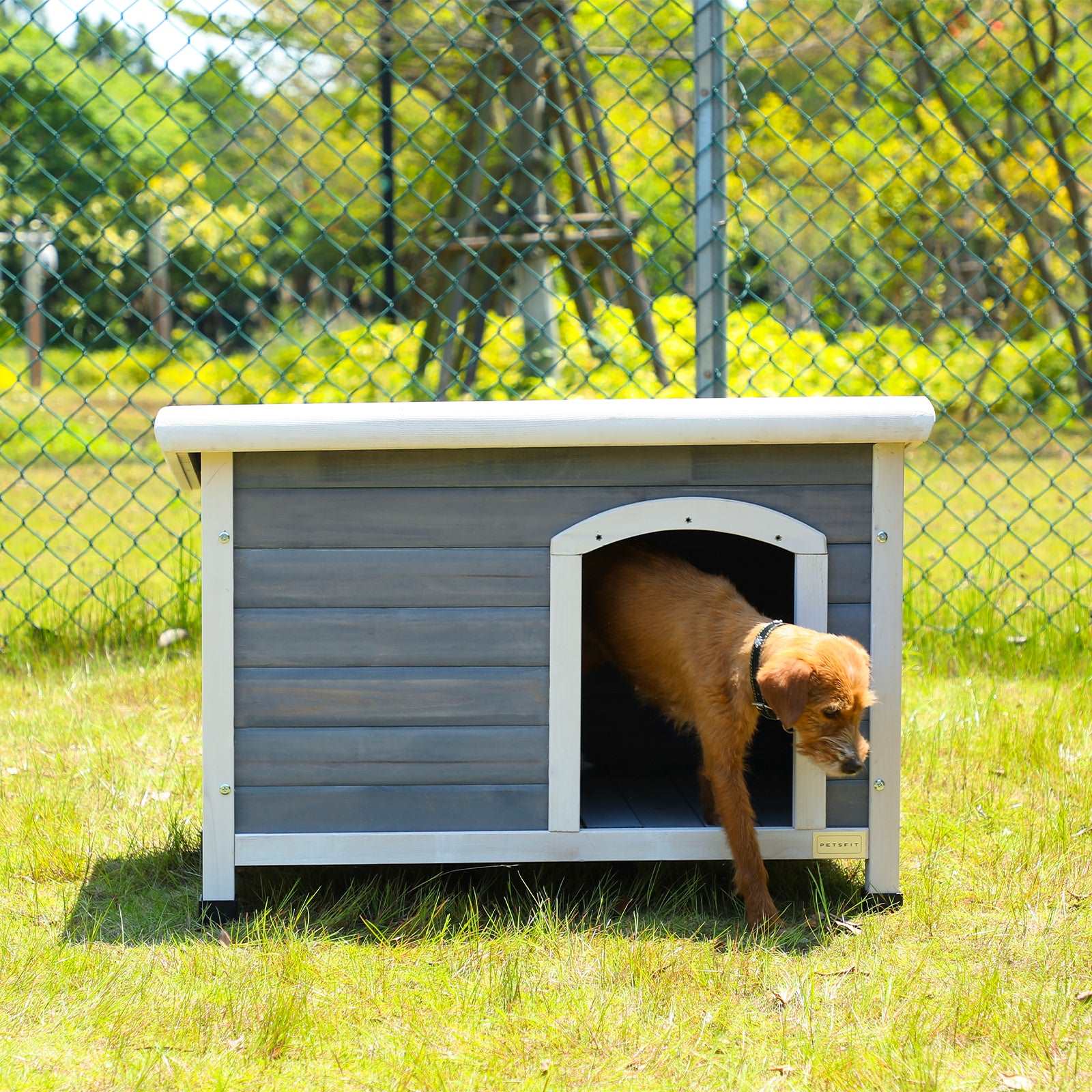 Outdoor-Wooden-Dog-House-03