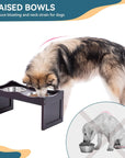 PETSFIT Elevated Dog Feeding Station