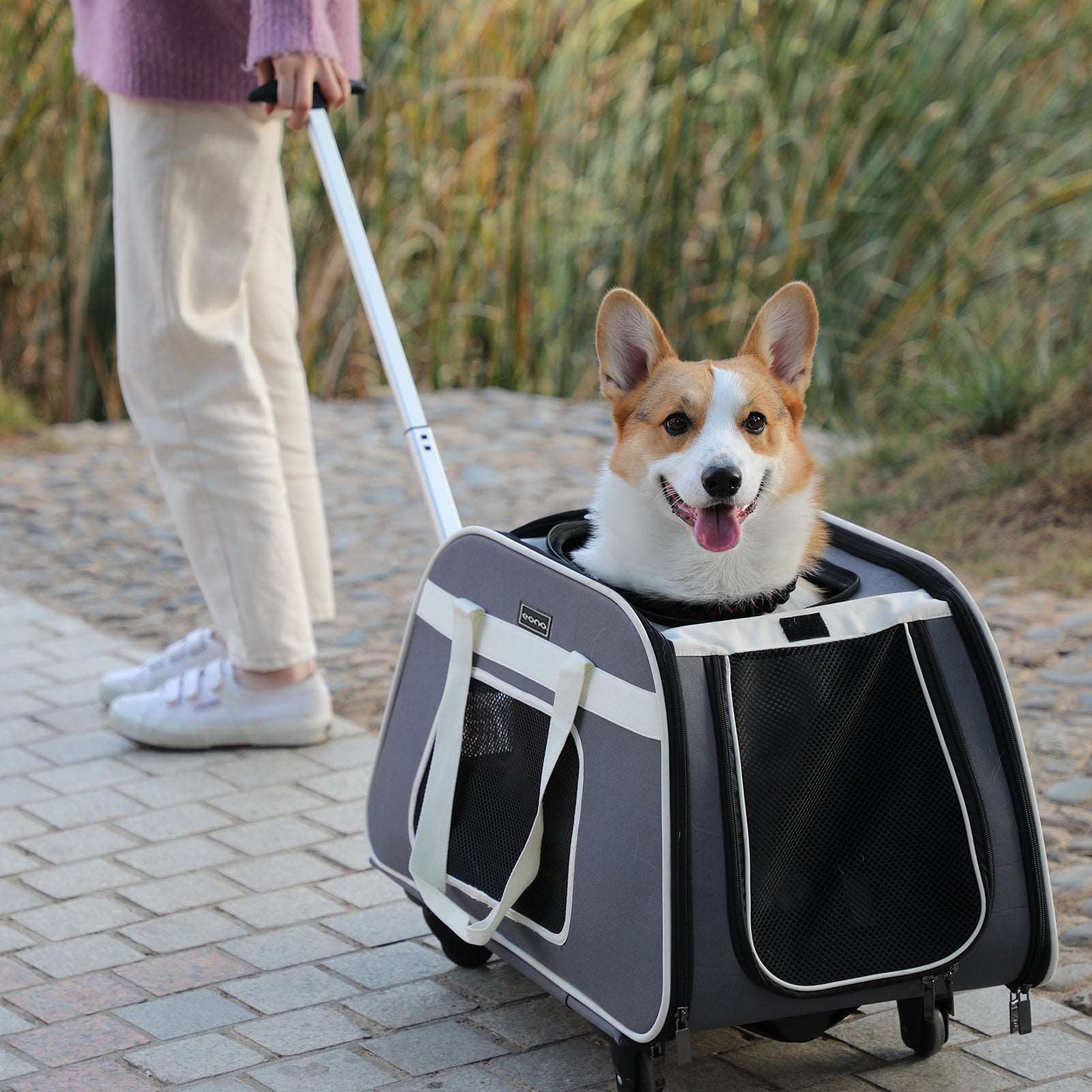 PETSFIT Rolling Pet Breathable Carrier with Removeable Wheels